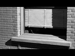 Psycho (Opening Scene)