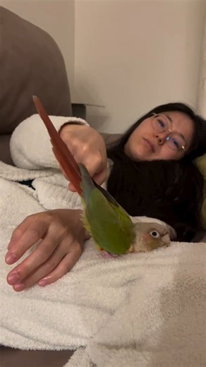 i love when people sexually frustrate animals and label it as cute behaviour. let’s not educate ourselves at all in non-human body language and touch