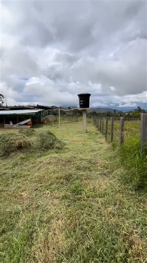 UrbanCity Inmobiliaria on Instagram: "👀 No todos los días aparece un lote así 500 m² con servicios, construcción lista y un potencial brutal 🌱🐖 Ideal para producir, emprender o invertir en grande 💼💰 📲 Contáctanos: 3233131793 🏢 UrbanCity Inmobiliaria #LoteEnVenta #InversiónRural #FincaProductiva #OportunidadÚnica #BienRaíz UrbanCity EmprendeHoy VentaDeLotes CampoProductivo 🚜✨"