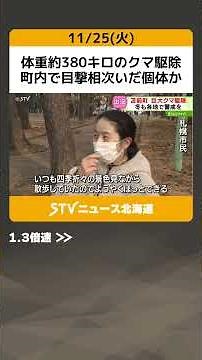 体重約380キロのクマ駆除 町内で目撃相次いだ個体か 専門家「まだ太れていないクマも」北海道 #shorts