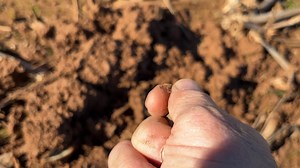 Twin Blends: Northwest Louisiana History Hunters on Reels | Facebook