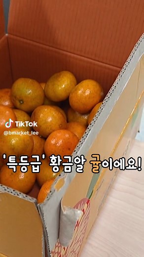 무농약 특등급 황금알 노지감귤이 5kg에 9900원으로 찾아왔어요~! 작지만 엄청 달고 품질도 좋아서 알차고 맛있어요~ 씹을 때마다 톡! 톡! 터지는 과즙이 일품인 노지감귤 비품마켓에서 만나요~!! #비품마켓 #노지감귤 #무농약귤 #감귤 #초특가