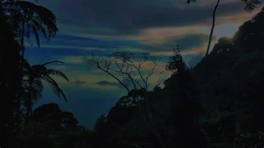 Alex Eva (@alex.eva58)’s videos with original sound - 🍁Afsana Mili🍁