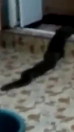 Science Channel on TikTok