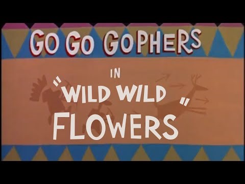 (OUTDATED) Go Go Gophers - Wild Wild Flowers (Title Reconstruction)