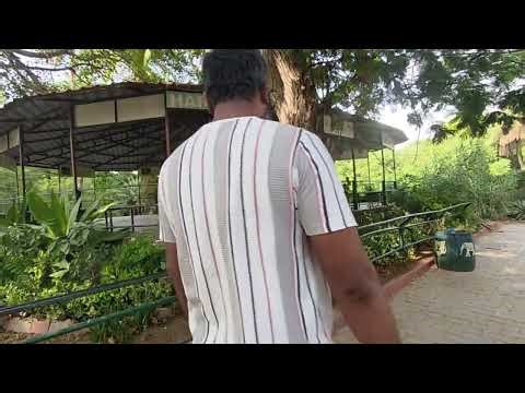 Zoo Animals Gone Crazy 😱🦁 | Funniest Animal Moments Ever 😂🔥