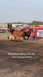 The 2026 racing season can’t come quick enough! 🐎💨 | Adamson Chuckwagon & Chariot Racing
