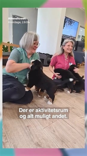 DR1 on Instagram: "Friplejehjemmet i Voel har titlen som Danmarks bedste i 2025. Der er både kæledyr, mange aktiviteter - og så har de 30 frivillige, der sørger for de ældre ✨ Det er sød musik i Anja Kjærgaards ører. Alt for mange gange har hun oplevet uværdig ældreplejen af sin far og farmor, og derfor er hun ikke i tvivl: “Der skal sættes ind på det her område. Ellers går det galt.” Se @aftenshowet_dr nu på DRTV."