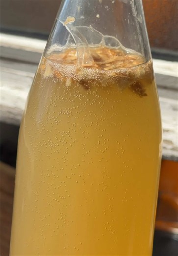 Ginger beer maison : recette facile de la boisson estivale