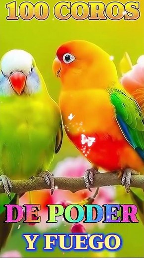 100 COROS DE PODER Y FUEGO Coros Pentecostales Viejitos Pero Muy Bonitos Himnos Cristianos You