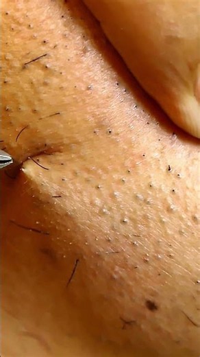 Plucked Perfection Grooming Beyond the Surface1