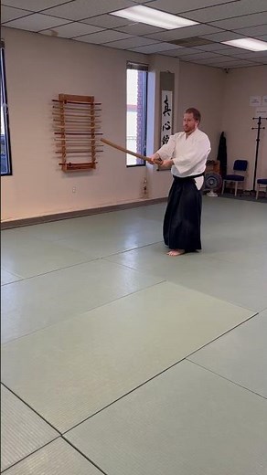 Bokken Kata 2