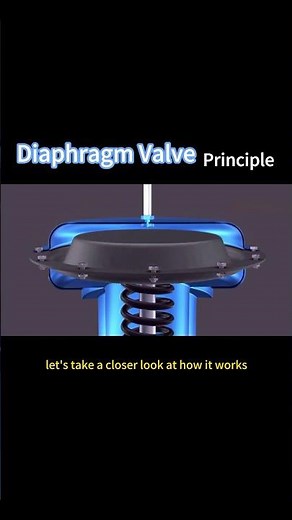 Understanding the Working Principle of Diaphragm Valves #Valve #Machinery #Industry