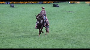 40K views · 628 reactions | Highlights from the opening ceremony at CHIO Aachen last night where this years partner country was Spain with Alvaro Soler live on stage. | Irish Eventing Times | Facebook