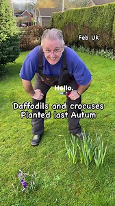 24K views · 464 reactions | Spring Bulbs #gardening #garden #plants #bulbs #springflowers | Dave The Plantman | Facebook