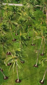 Nicht vergessen: Die Miami Spa Months gehen noch bis zum 31. August. Massage, Sauna, Yoga - was sind eure liebsten Behandlungen? #Miami #VisitMiami #Welovemiami #Spa #Wellness #Miamispamonths : @rogerbstillz | Visit Miami | Facebook