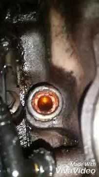 1990 Ford Crown Vic LTD LX chronicles ~ Oil pressure switch replacement