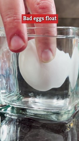 The Easy Way To Tell If An Egg Is Good Or Bad