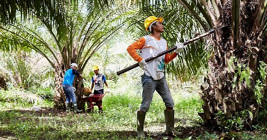 Human rights in our value chain | Unilever