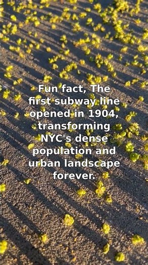 First NYC Subway Line Launched in 1904