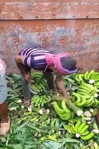 Amazing Fast Workers | HINDU साम्राज्य | Facebook