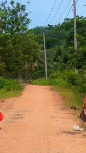 96K views · 2.2K reactions | Laksmini vs nawang wulan﫣 | Nilam Sari | Facebook