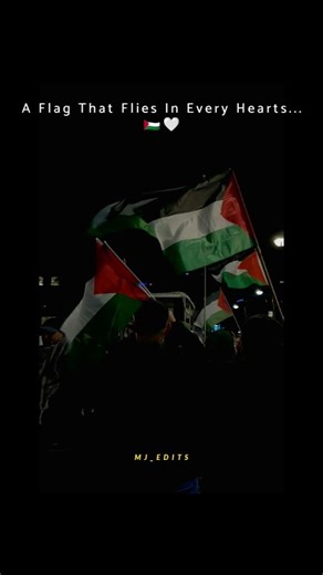 A Flag that Flies in every Hearts 🇵🇸|MJ_WRITES|#freepalestine #palestine #like #shorts #support #dua