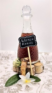 The Benefits and Risks of Witch Hazel in Skin Care