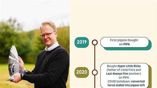 35K views · 736 reactions | Building on pigeons from Tom Van Gaver,...