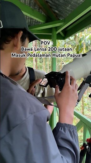 The Most Beautiful Bird in the World, the Bird of Paradise, Papua, Indonesia #cendrawasih