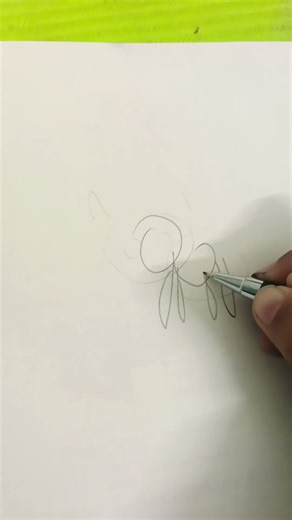 Drawing Groudon || #drawing #pokemon #anime #pokemondrawing || The Artist