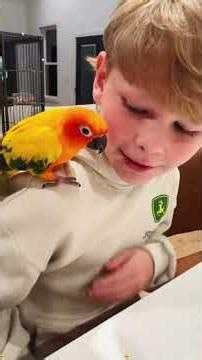 Various methods for extracting a baby's teeth#loosetooth #toothpulling #twinbrothers #brotherlylove