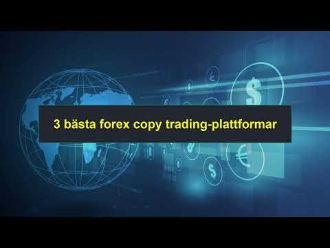 3 Bästa Forex Copy Trading-plattformar | Topp Forex Mäklarrankning [0525]