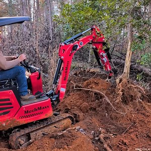 Removing a BIG TREE Using a MINI Excavator #Equipment #MiniExcavator #TreeRemoval #ClearingLand | Tony's Tractor Adventure Homestead