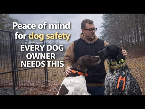 GPS Dog Collar Review Garmin Alpha 300 / TT25 Features, Range & Performance