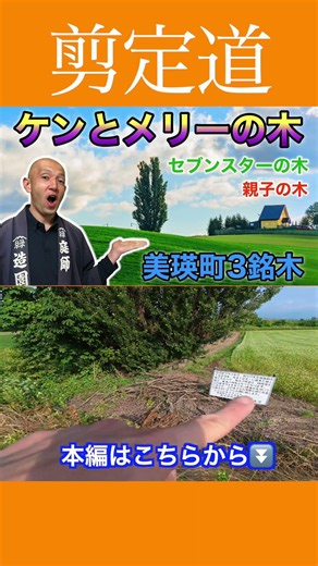 "Ken & Mary": Let's Go Visit the 3 Iconic Trees of the Showa Era!! Feeling Nostalgic? Do You Know...