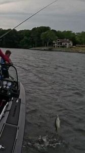3.9M views · 195K reactions | No Father/Son fishing trip is complete without a few high-fives  @fishhookterry | Bass Pro Shops | Facebook