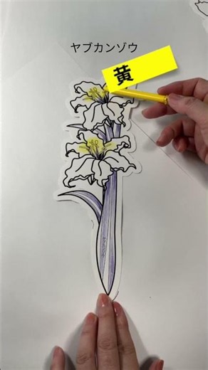 【 ＃ヤブカンゾウ ＃花のぬりえ ＃夏の花 】鮮やかなオレンジ色の花びらが美しい花。毎年教室でも人気です。花びらの重なりや色の濃淡を楽しみながら、立体感のある一輪を仕上げていきましょう。