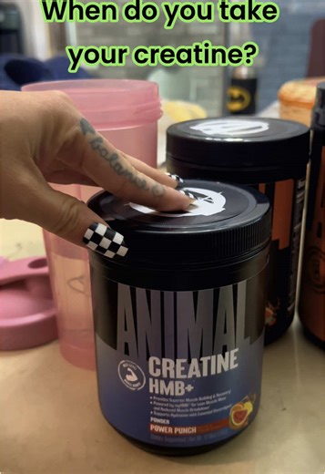 so cute it's National Creatine Day! I like to take my creatine immediately after a workout or in the morning on rest days! As long as I stay hydrated, the magic begins to work @AnimalPak cOde: CRYSTAL 20% off #creatine #gains #fitness #explore #animalpakambassador
