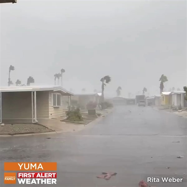 Heavy rains moving through Yuma! We're tracking the latest now on 3TV. First Alert Weather Forecast: azfamily.com/weather First Alert Weather App: https://bit.ly/3ymLQjW | azfamily 3TV CBS 5