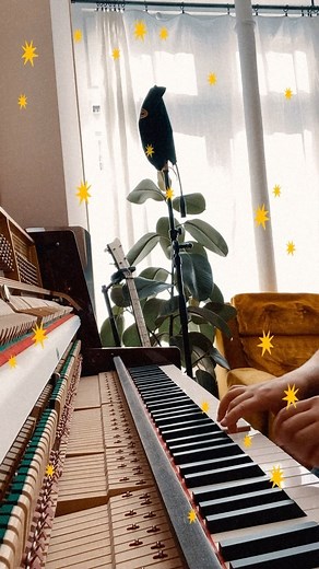 alex mtb on Instagram: "pardonnez mon anglais mais j’adore cette chanson de @staceyryanmusic - fall in love alone [archives 2022] #musique #piano #musician #music #chanson #fallinlove #trend #insta #instareels #fyp"