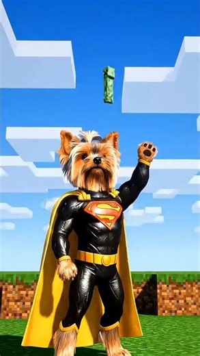 Super Yorkie in Minecraft World
