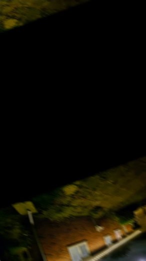 19 reactions · 3 comments | ✨ CHRISTMAS LIGHTS ARE UP — AND WOW! ✨...