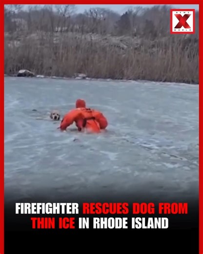 Dramatic video shows a Rhode Island Fire Department firefighter crawling across a frozen pond to save Phoenix, a golden retriever who fell through thin ice on New Year’s Day. The rescue was successful, with both the dog and firefighters returning safely to shore. #GoodNews #RhodeIsland #Firefighter #IceRescue #GoldenRetriever #NewYearsDay #HeroicRescue #StaySafe | NewsX