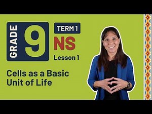 Gr9 NS: Life Science | Term 1 | Lesson 1 | Cells as a Basic Unit of Life