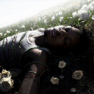 d4vd Concert & Tour History (Updated for 2025 - 2026) | Concert Archives