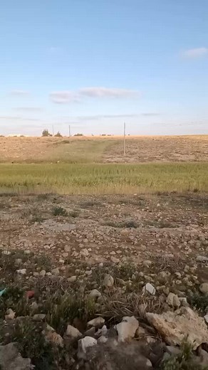 Stunning Contrast in an Open Field Landscape