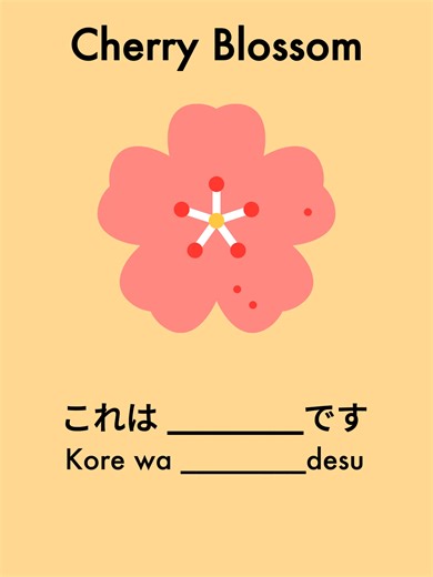 Learn Japanese Words: 5 Essential Phrases in 60 Seconds