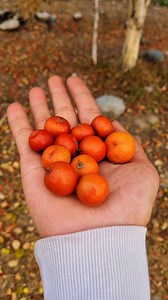 What do you call this in your Language..? ☺️ | Mr. Marsani