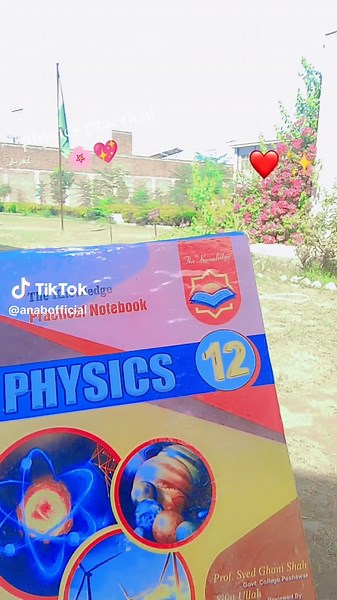 Physics Practical Insights for ICMSIANS